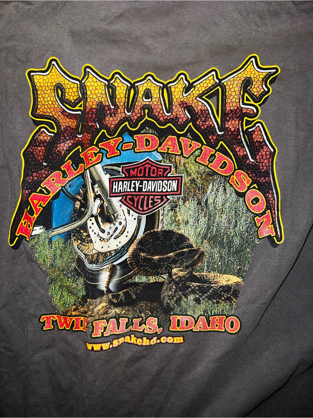 Harley-Davidson Black Shirt with Yellow and Red Snake Graphic